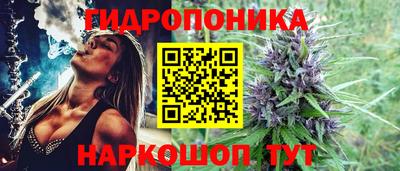 ALPHA PVP Кандалакша