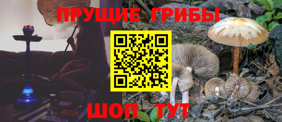 Мефедрон кристаллы  КОКАИН  Вход с VPN  ЭКСТАЗИ  Крымск  ГАШ  Конопля 
