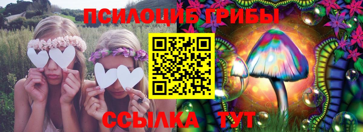 Крымск  Галлюциногенные грибы GOLDEN TEACHER  Псилоцибиновые грибы Cubensis  Вход с VPN 