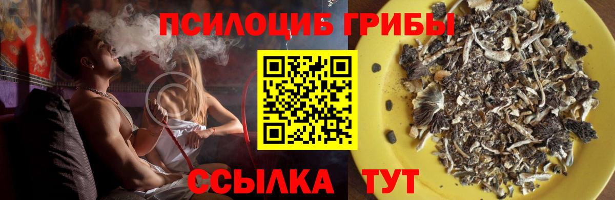 Галлюциногенные грибы мухоморы Крымск
